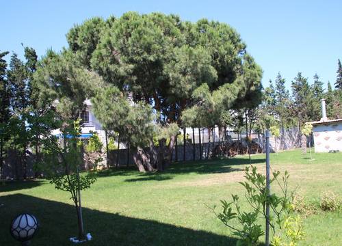 turkey/balikesir/mavikoybeachresort9c4e5a36.jpg