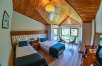 Standard Room With Two Beds Mountain View