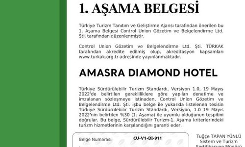 turkey/bartin/diamondhotelamasrac4459c24.jpg