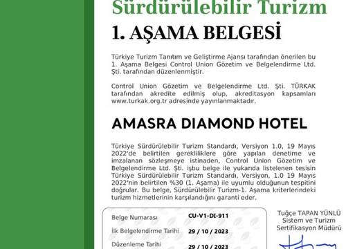 turkey/bartin/diamondhotelamasrac4459c24.jpg