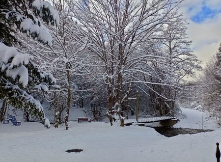 turkey/bolu/abantbahcelikosk0bc0b1b8.jpg