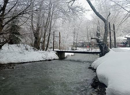 turkey/bolu/abantbahcelikosk2e17b610.jpg