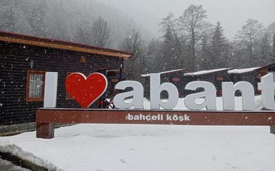 Abant Bahçeli Köşk · 3