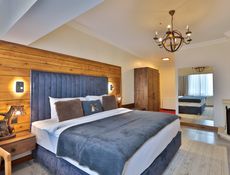 Deluxe Room - Lake View