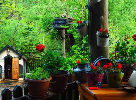 turkey/bolu/abantyesilevmasalevleri84c33419.jpg