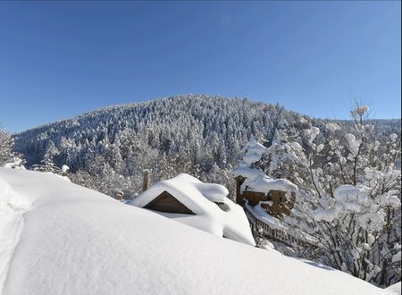 turkey/bolu/abantyesilevmasalevlerib7eaef22.jpg