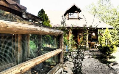 Abant Yesil Ev Masal Evleri · 5