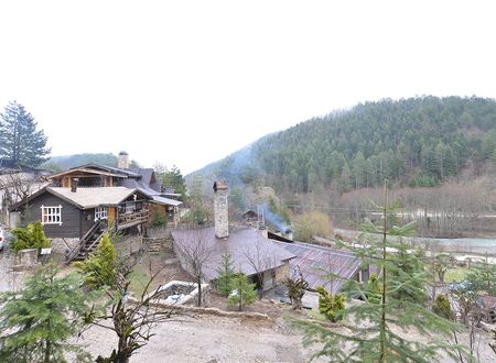 turkey/bolu/abantyesilevmasalevlerie63b8826.jpg