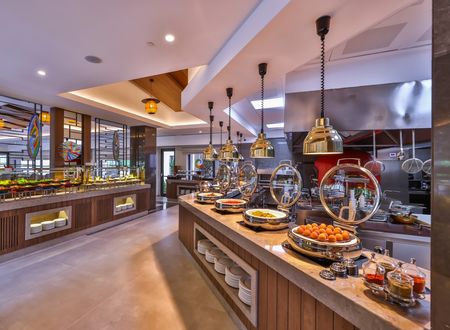 turkey/bolu/bolumerkez/narvenwellnessthermalhotel1d47c608.jpg
