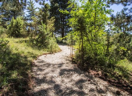 turkey/bolu/bolumerkez/narvenwellnessthermalhotel40377b77.jpg
