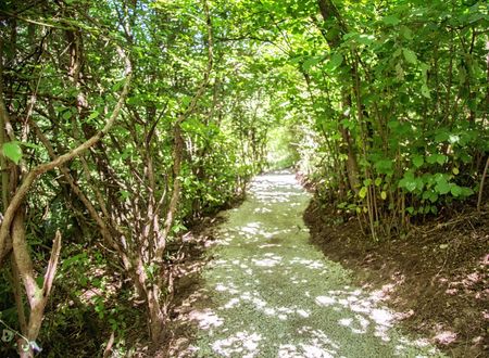 turkey/bolu/bolumerkez/narvenwellnessthermalhotelfda9d260.jpg