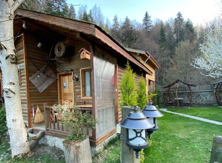 turkey/bolu/dogakosku782b7a2b.jpg