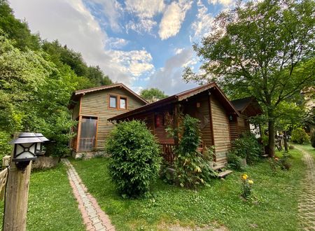 turkey/bolu/dogakosku7c00d214.jpg