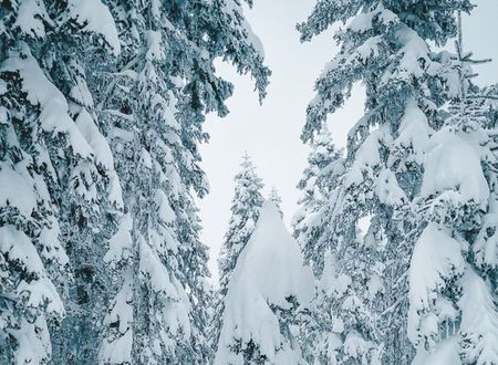 turkey/bolu/gerede/elifimresorthotel0bafbcd5.jpg