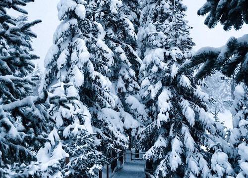 turkey/bolu/gerede/elifimresorthotel36a30a5c.jpg
