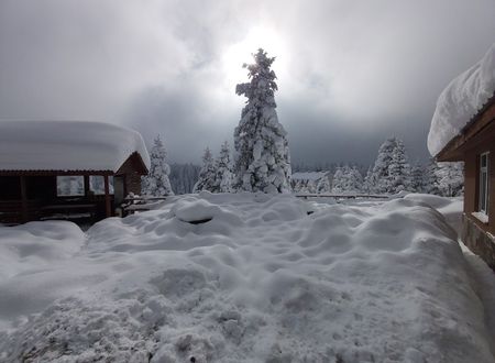 turkey/bolu/gerede/elifimresorthotel4f3583ef.jpg