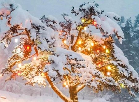 turkey/bolu/gerede/elifimresorthotel68b92499.jpg