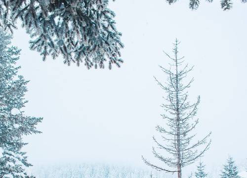 turkey/bolu/gerede/elifimresorthotel708c021c.jpg