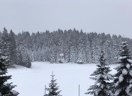 turkey/bolu/gerede/elifimresorthotel7f69bb7e.jpg