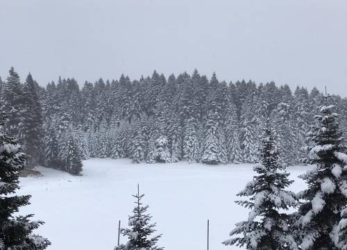 turkey/bolu/gerede/elifimresorthotel7f69bb7e.jpg