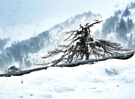 turkey/bolu/gerede/elifimresorthotelf30ae75d.jpg