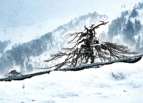 turkey/bolu/gerede/elifimresorthotelf30ae75d.jpg