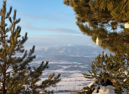 turkey/bolu/kartaltepeboutiquehotel2785d14c.jpg