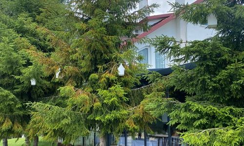 turkey/bolu/kartaltepeboutiquehotel7d91faaf.jpg