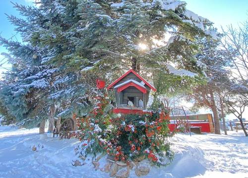 turkey/bolu/kartaltepeboutiquehotel89e3c0c5.jpg