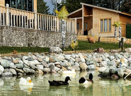 turkey/bolu/mengen/koruaura393ee4c0.jpg