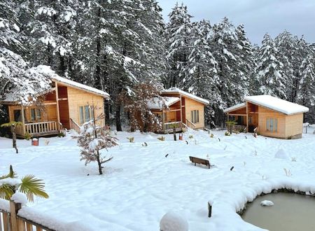 turkey/bolu/mengen/koruaura8b1ec258.jpg