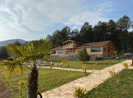 turkey/bolu/mengen/koruaurae2fe4b59.jpg