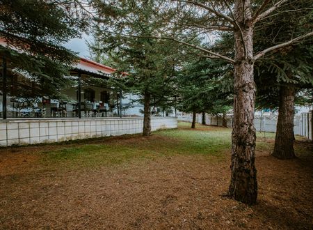 turkey/bolu/poioberjkartalkayabutikotel2ea5de82.jpg