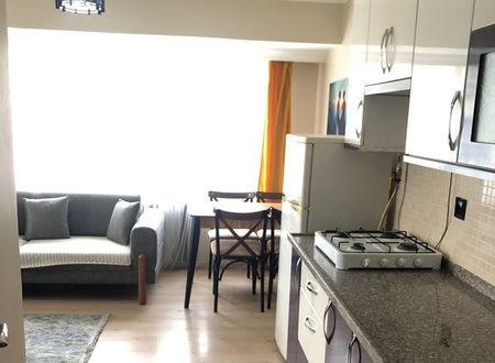 turkey/bolu/polihouse1407b9f7.jpg