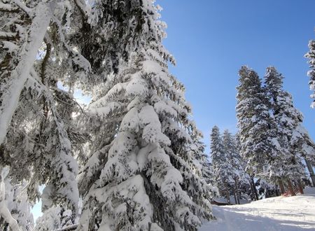 turkey/bolu/thesignesentepeskicenter008cab4d.jpg