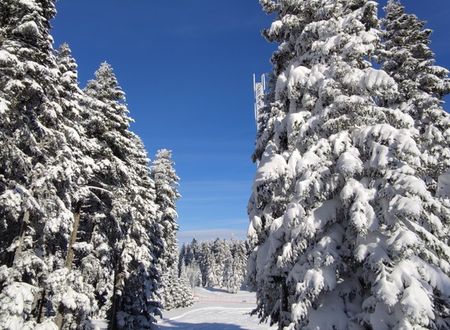 turkey/bolu/thesignesentepeskicenter11c1596a.jpg