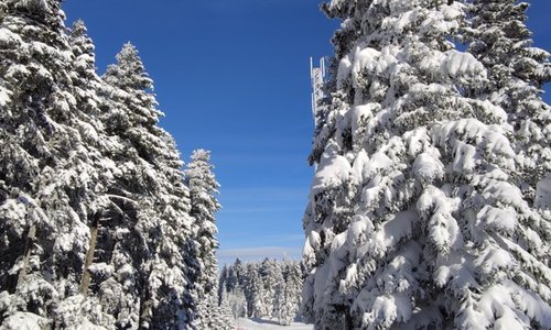 turkey/bolu/thesignesentepeskicenter11c1596a.jpg