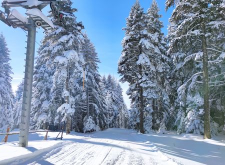 turkey/bolu/thesignesentepeskicenter21c58d42.jpg