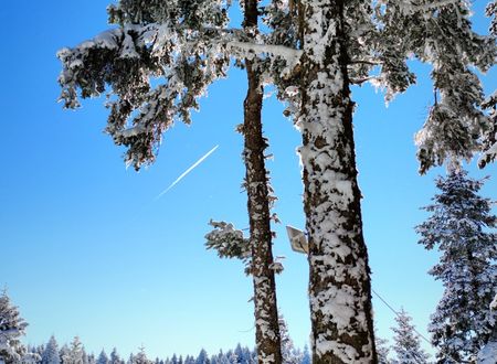 turkey/bolu/thesignesentepeskicenter417ec7b5.jpg