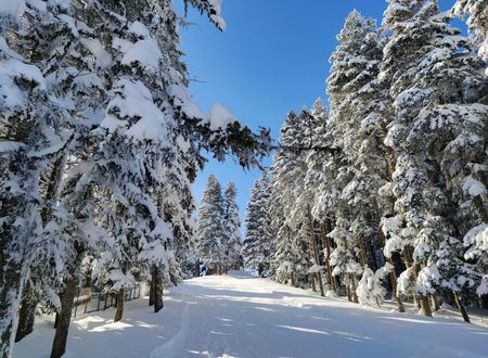 turkey/bolu/thesignesentepeskicenter4b9ad143.jpg