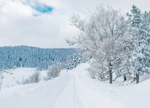 turkey/bolu/thesignesentepeskicenter52b32977.jpg