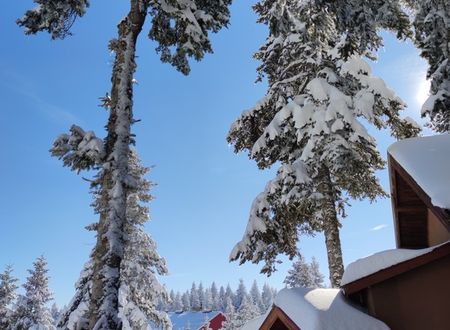 turkey/bolu/thesignesentepeskicenter8c3f6e14.jpg