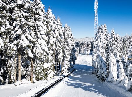 turkey/bolu/thesignesentepeskicenterd608e0d7.jpg