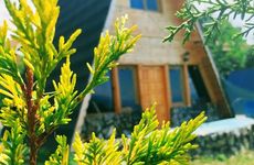 turkey/bolu/villashinebolu9f2e07a4.jpg