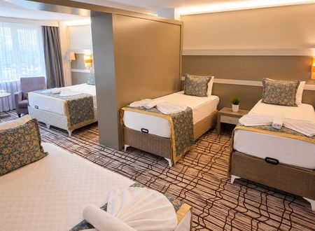 turkey/bursa/burcmanhotelfa587534.jpg