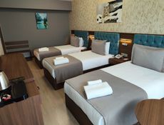 SUPERIOR ROOM-Triple Beds