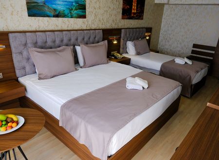 turkey/bursa/grandsalizzehotel93ee1db2.jpg