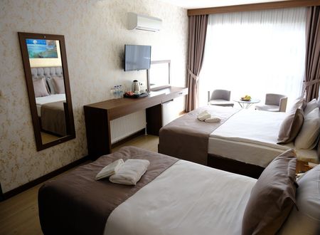 turkey/bursa/grandsalizzehotelb36aba14.jpg