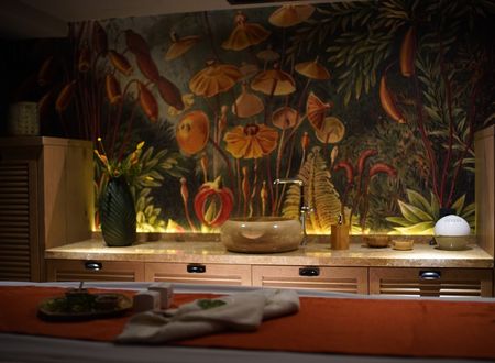 turkey/bursa/osmangazi/almirahotelthermalspaconventioncenter00a35410.jpg