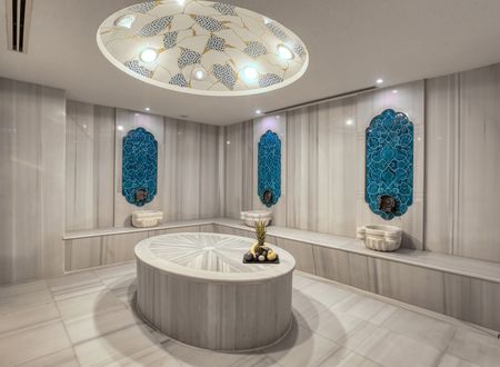 turkey/bursa/osmangazi/almirahotelthermalspaconventioncenter03ffd1d9.jpg